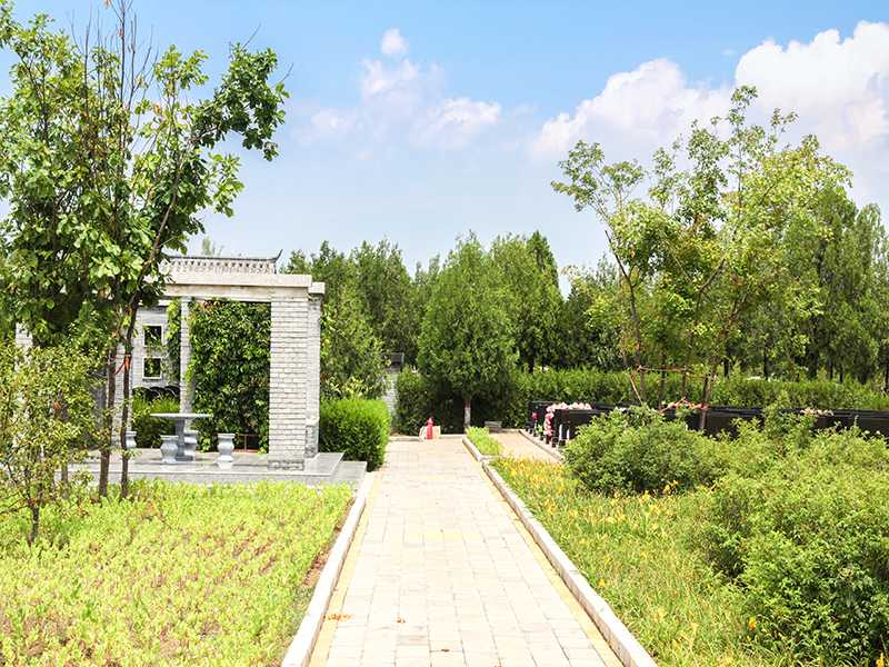 什么叫做“得志莫修坟，十修九害人”，迁坟有什么讲究？