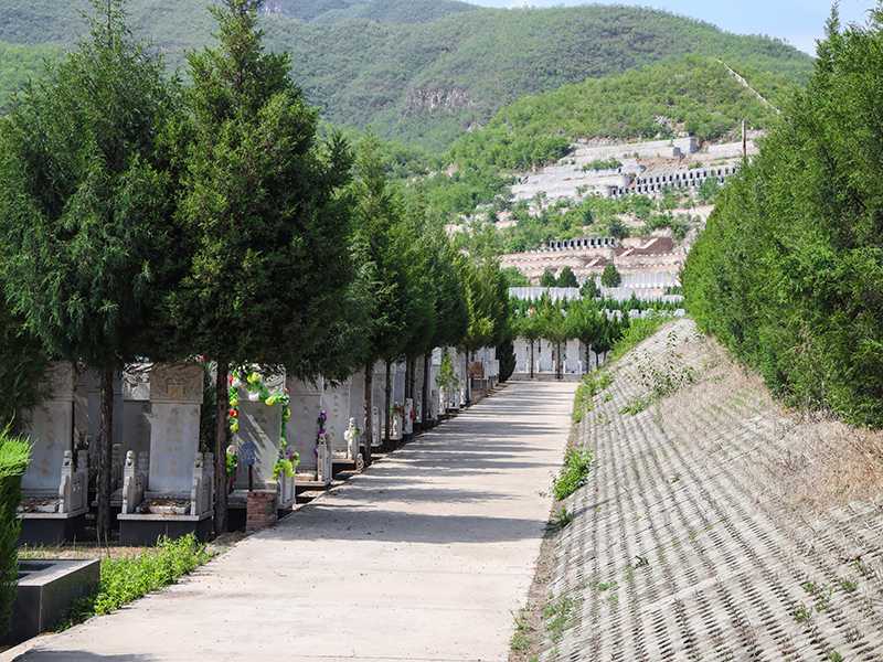 炎黄陵园的价格、电话多少？