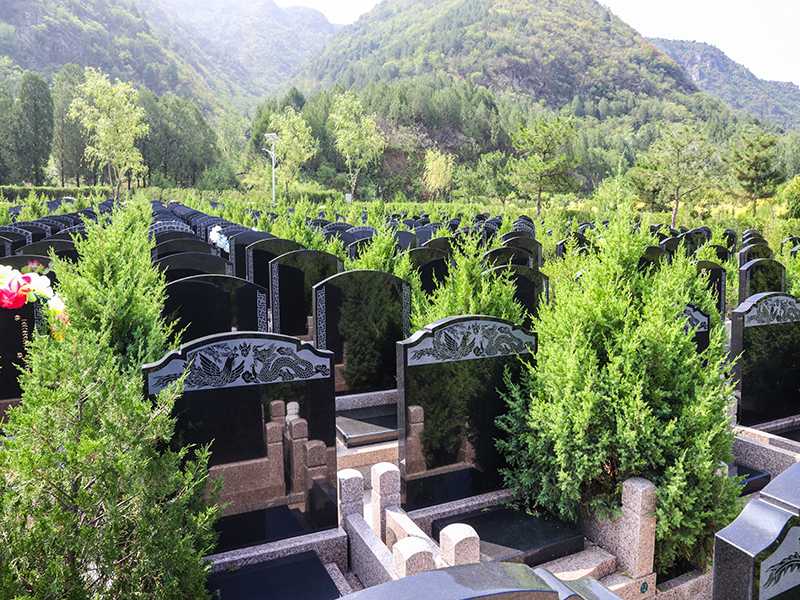 景仰园在上有什么优势？景仰园电话