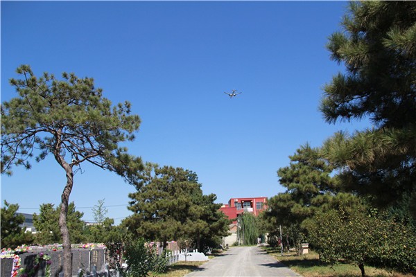 北京朝阳陵园环境怎么样？价格是多少？