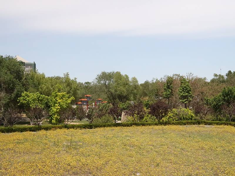 北京归山陵园购墓咨询电话是什么？归山陵园在什么位置？